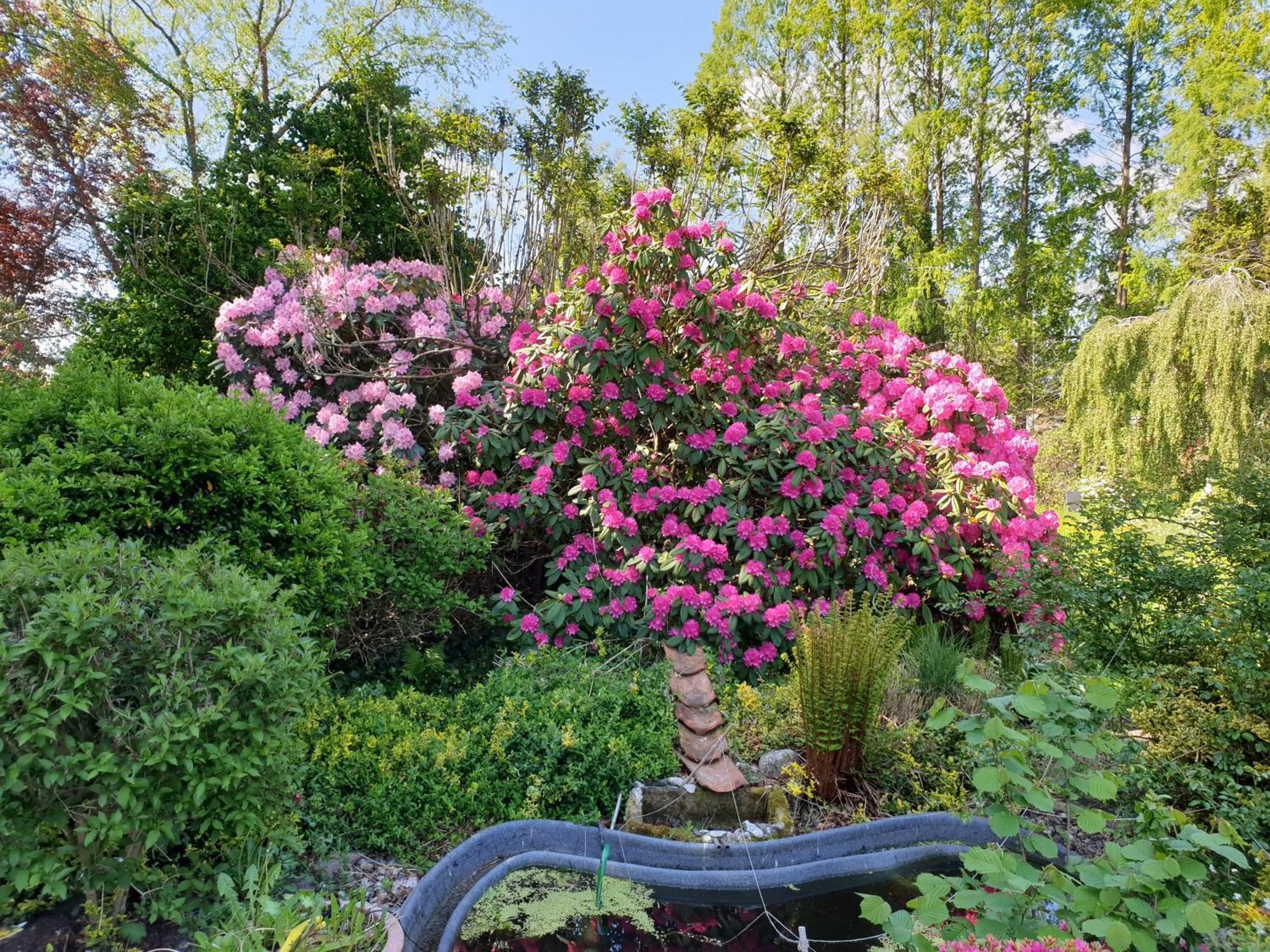 Ferienwohnung Gartenblick Westerstede Buitenkant foto