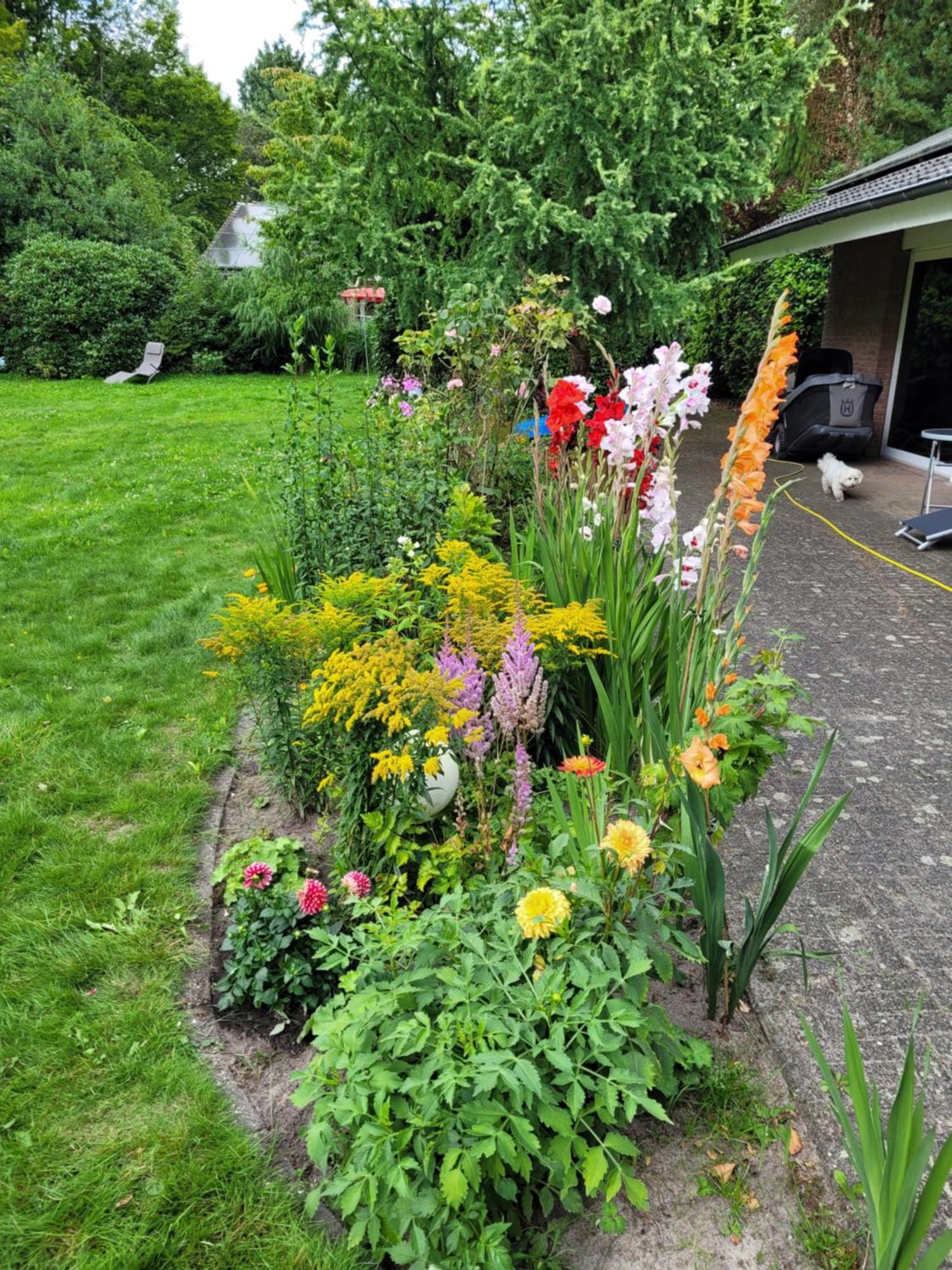 Ferienwohnung Gartenblick Westerstede Buitenkant foto