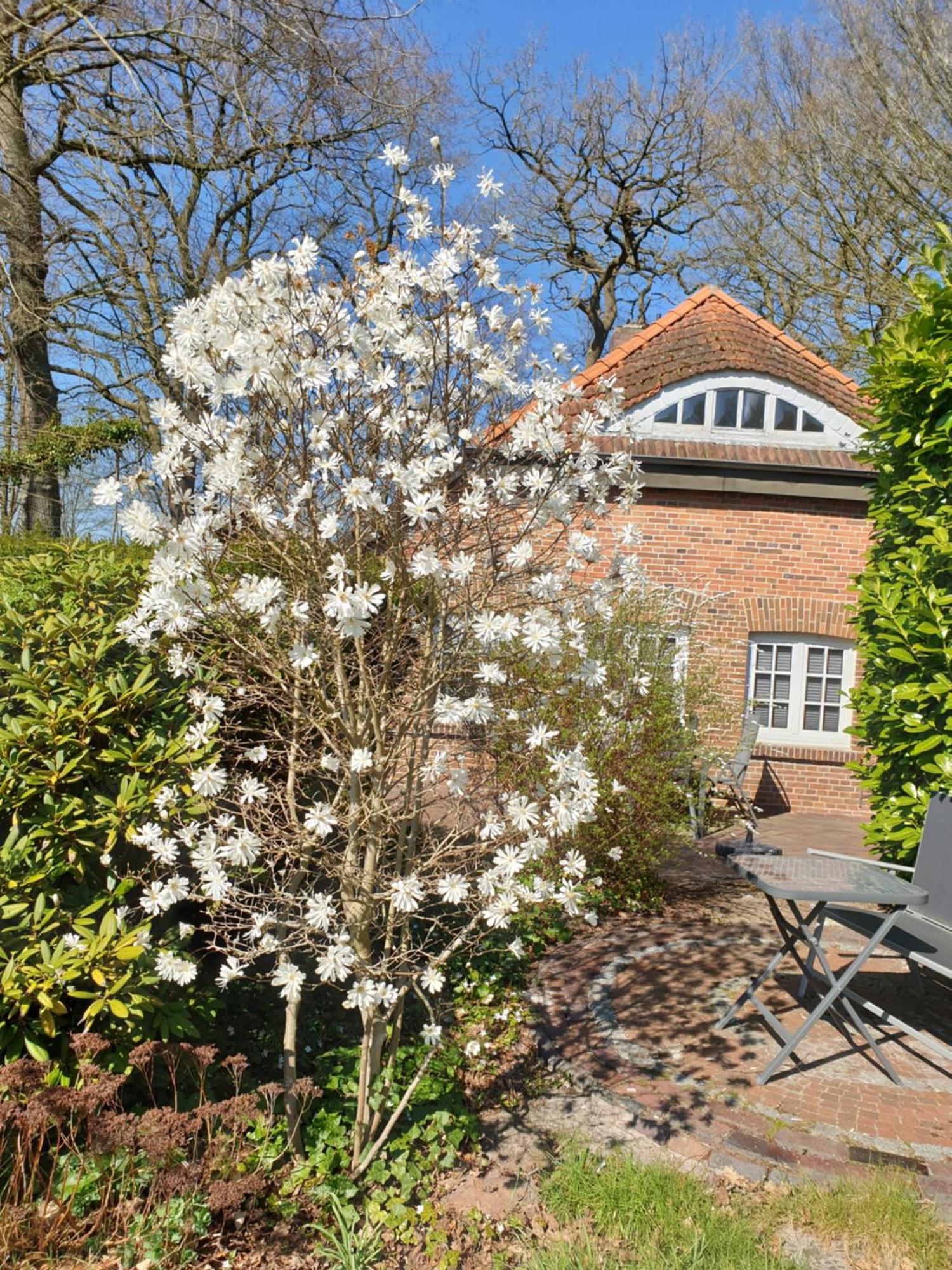 Ferienwohnung Gartenblick Westerstede Buitenkant foto