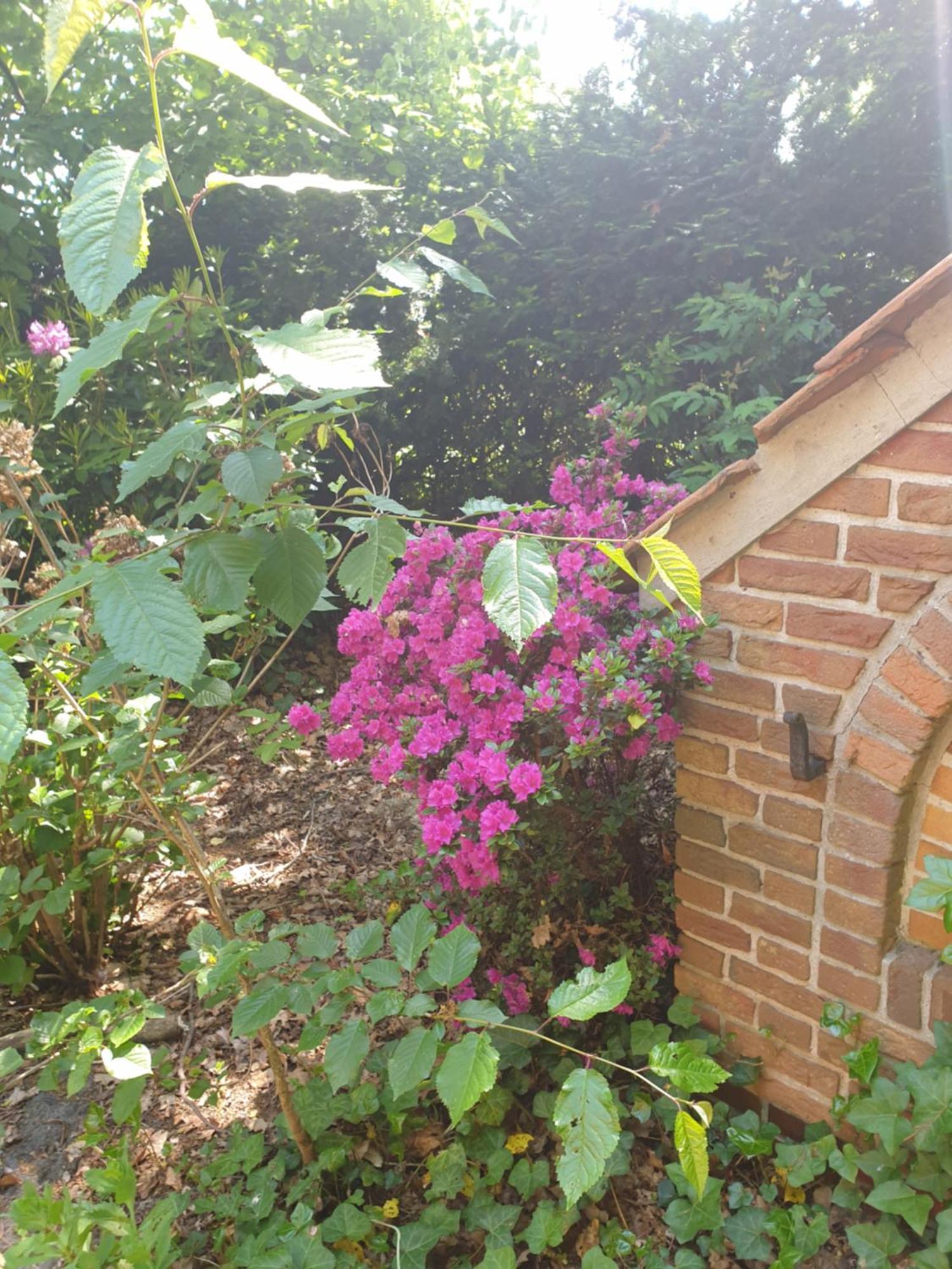 Ferienwohnung Gartenblick Westerstede Buitenkant foto